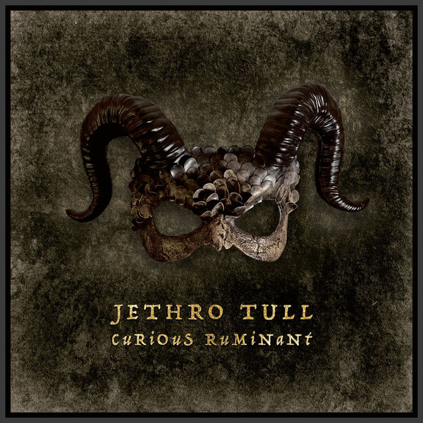 Jethro Tull Curious Ruminant CD [Importado]