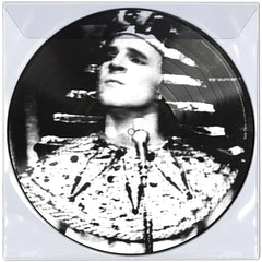 Steve Martin The Toot Uncommons/King Tut Vinyl 12" [Picture Disc][RSD Black Friday 2024]