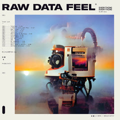 Everything Everything Raw Data Feel Clear Vinyl LP